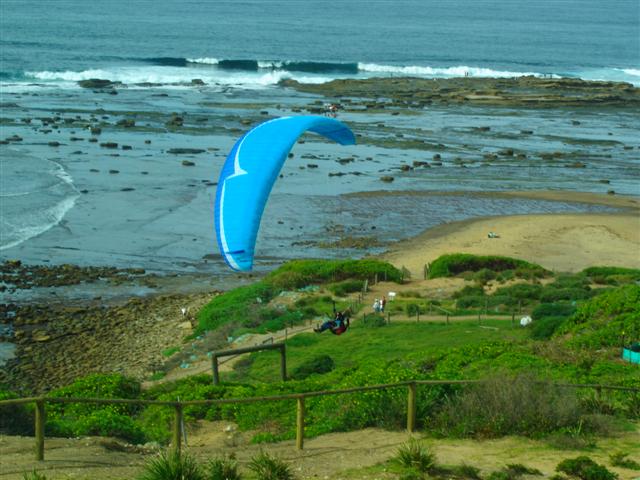 Para glider at Long Reef - Sydney